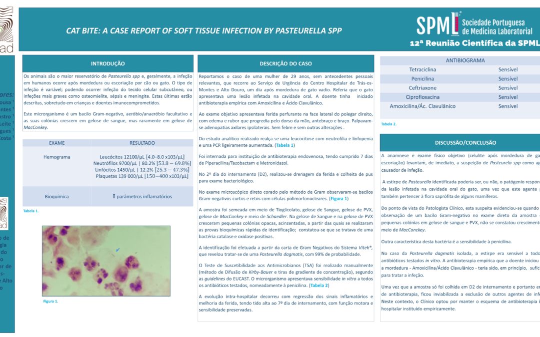 P55 – Cat Bite: A Case Report Of Soft Tissue Infection By Pasteurella SPP