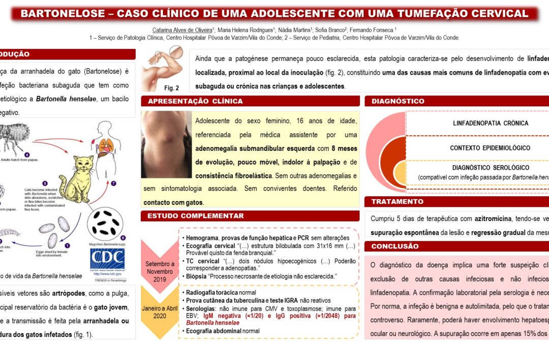 P56 – Bartonelose – Caso Clínico De Uma Adolescente Com Uma Tumefação Cervical